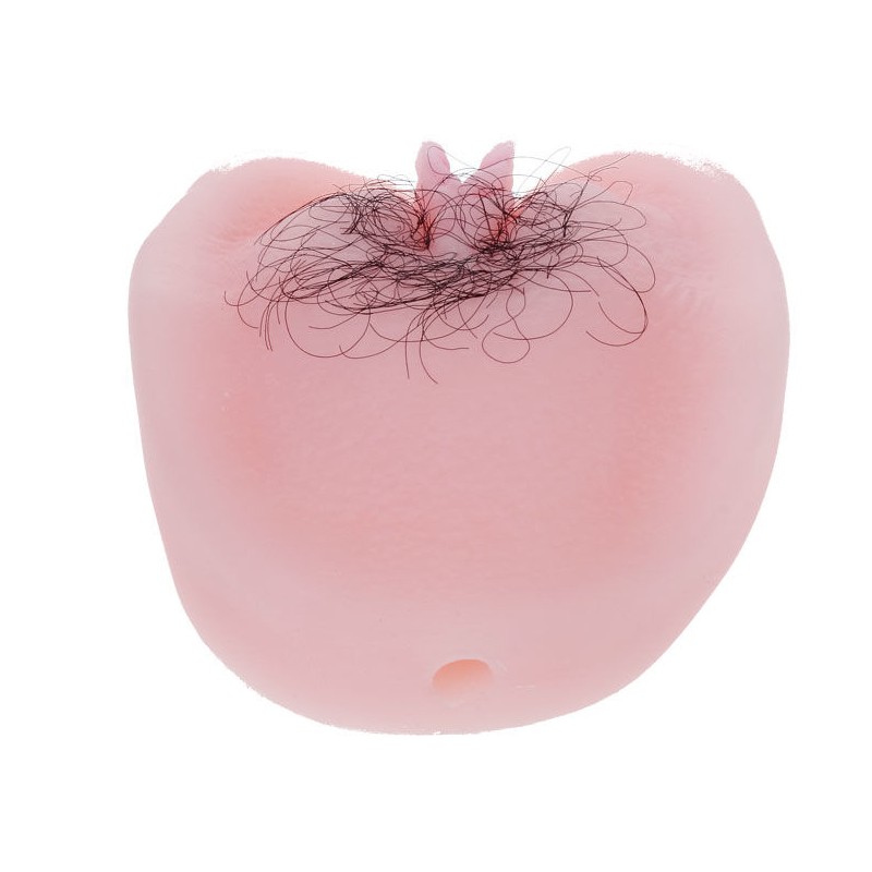 BAILE ANTHEA MAGIC FLESH VIBRATON PUSSY