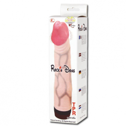 BAILE ROCKIN DONG PENE CYBER SKIN I