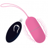 INTENSE FLIPPY I HUEVO CONTROL REMOTO ROSA