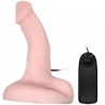 BAILE ARBITRARINESS DILDO FUNCION VIBRACION Y ROTACION