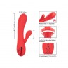 CALEXOTICS PALISADES PASSION RED