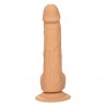 CALEXOTICS SILICONE STUDS 1524 CM SKIN