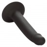 CALEXOTICS SLIM ANAL STUD
