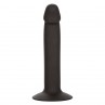 CALEXOTICS SLIM ANAL STUD