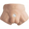 SILEXD APOLLO S TORSO BAJO REALISTICO MASCULINO