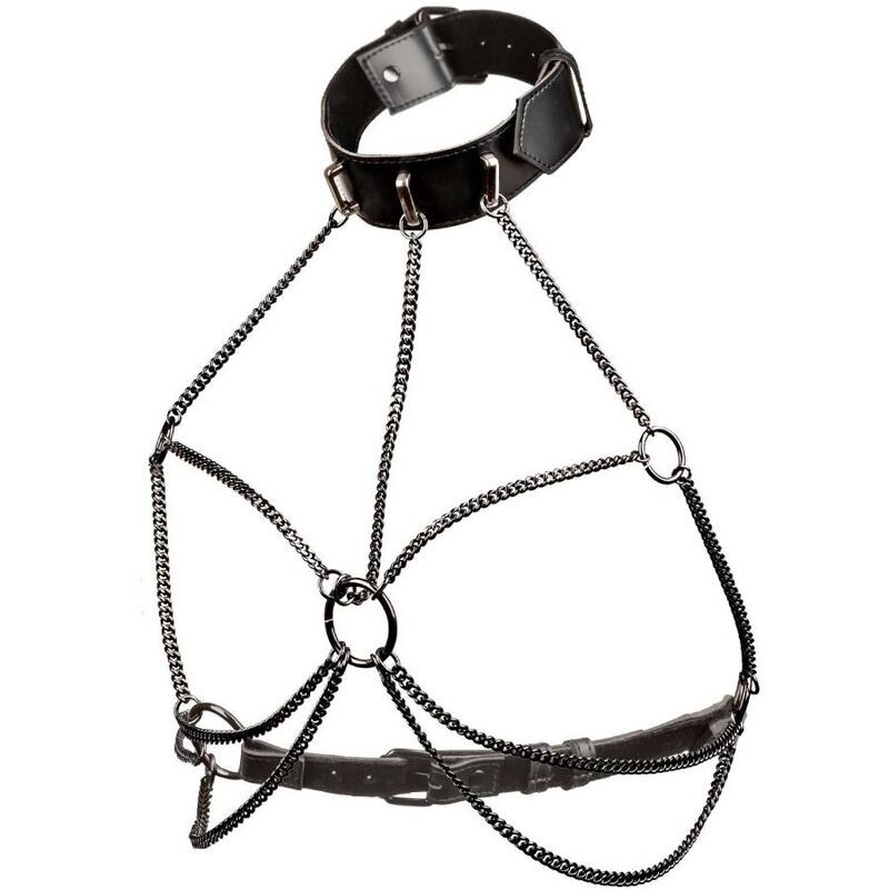 CALEXOTICS EUPHORIA ARNeS DE CUELLO DE CADENA TALLA GRANDE