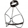 CALEXOTICS EUPHORIA ARNeS DE CUELLO DE CADENA TALLA GRANDE