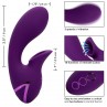 CALEXOTICS HUNTINGTON BEACH HEARTBREAKER ESTIMULADOR SUCCIONADOR MORADO BY CALIFORNIA DREAMING