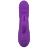 CALEXOTICS MANHATTAN BEACH MARVEL VIBRADOR RABBIT MORADO BY CALIFORNIA DREAMING