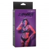 CALEXOTICS EUPHORIA ARNaS DE MaLTIPLES CADENAS PREMIUM
