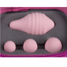 FEMINTIMATE PELVIX CONCEPT BOLAS 100 TERAPEUTICAS