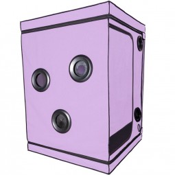 SECRET DOME KINK CLUB CABINA SCANDALE MORADO
