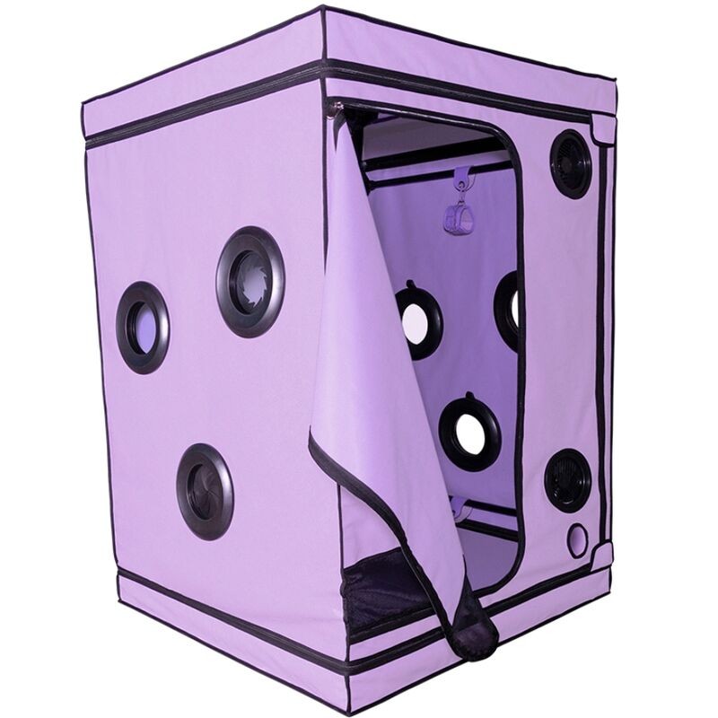SECRET DOME KINK CLUB CABINA SCANDALE MORADO