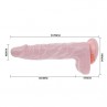 BAILE SUPER VIBRO DONG V