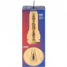 KIIROO FEEL RACHEL STARR MASTURBADOR STARS COLLECTION