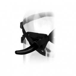 THE PEGGER ARNeS CON CONSOLADOR CURVADO PARA ESTIMULACIoN ANAL