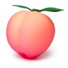 ROMP PINK PEACH SUCCIONADOR DE CLiTORIS FORMA MELOCOToN