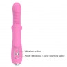 NALONE T MAY VIBRADOR RABBIT CON EMPUJE Y MOVIMIENTO OSCILANTE