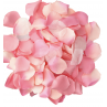 DIABLO PICANTE 100 PeTALOS ROSA