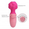 PRETTY LOVE ANWEN MINI MASAJEADOR RECARGABLE ROSA